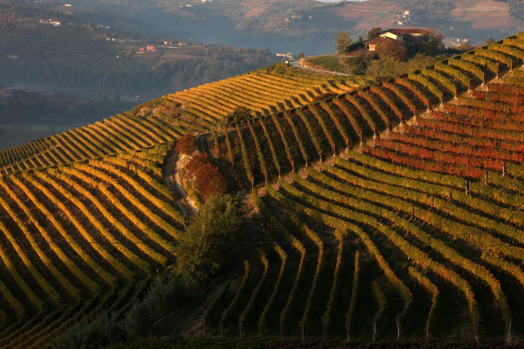 Albergo Castiglione Langhe Castiglione Tinella Esterno foto